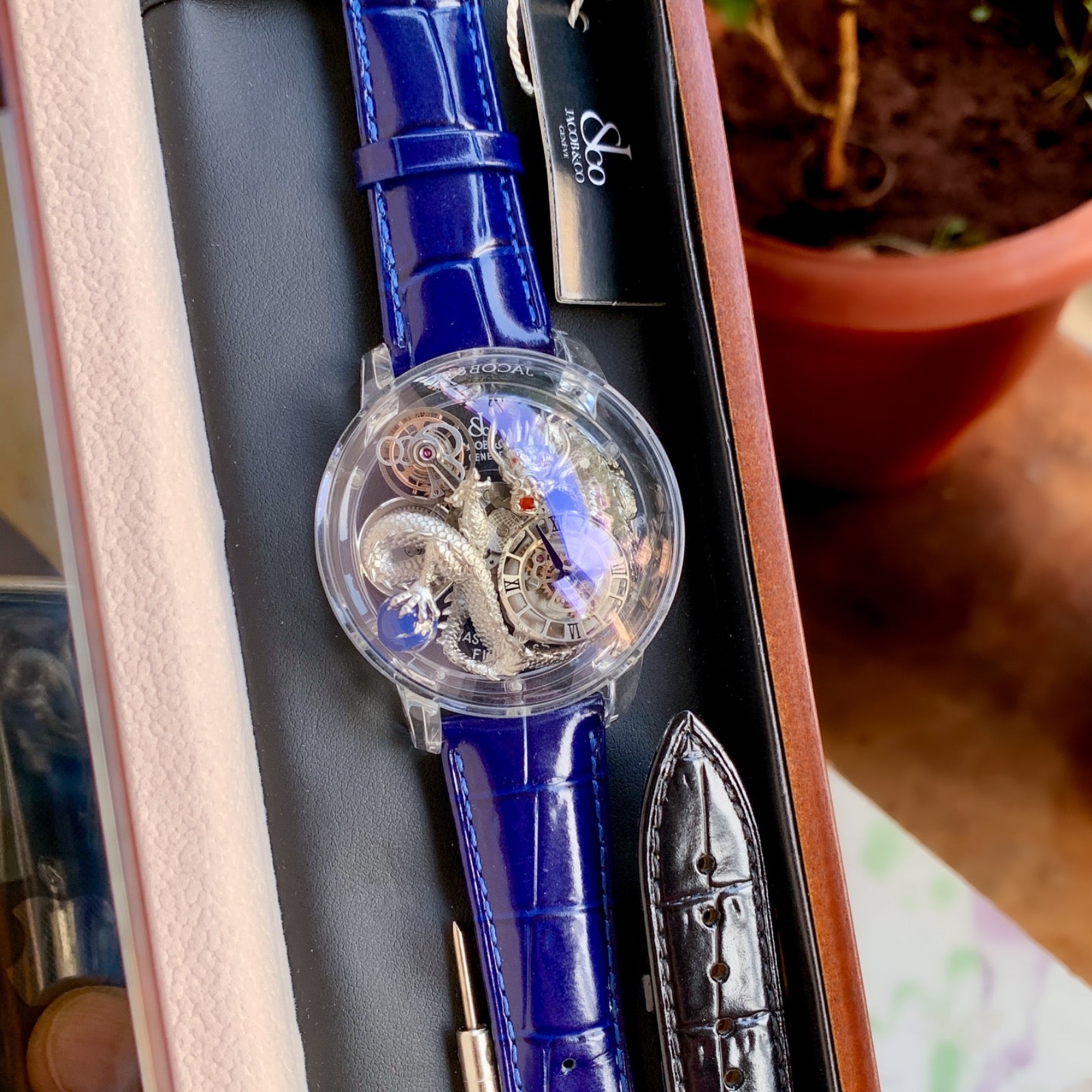 Astronomia Dragon Edition Luxury Watch - AmazingBaba