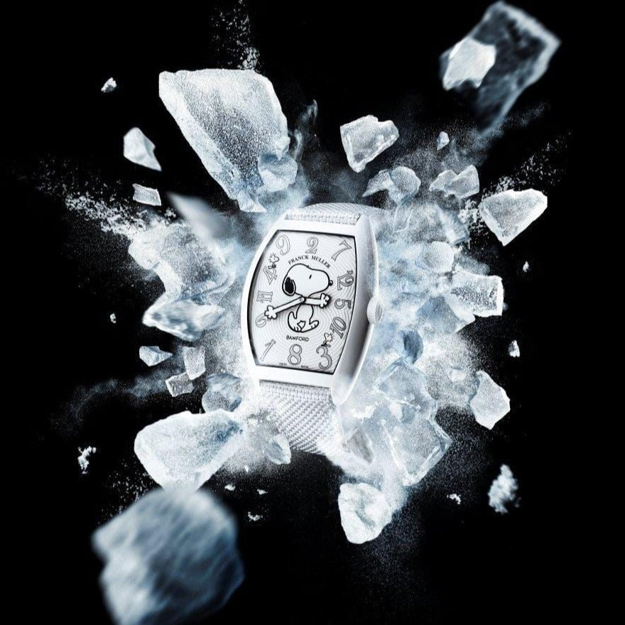 Franck M Luxury premium quality watch - AmazingBaba