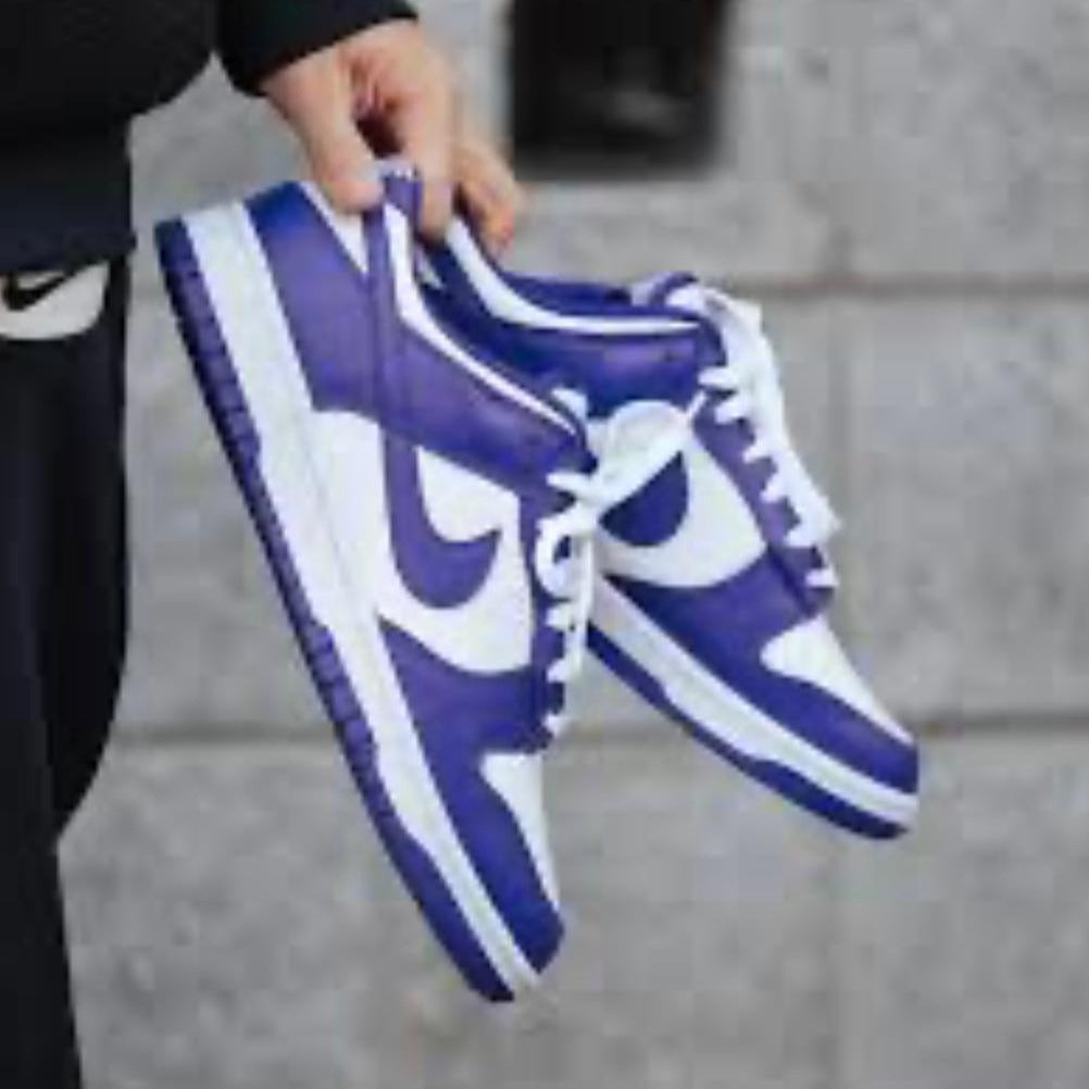 Dunk Lows Court Purple Shoes - AmazingBaba